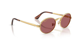 Ray-ban Rb 3931 Unisex Gold Round Sunglasses