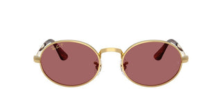 Ray-ban Rb 3931 Unisex Gold Round Sunglasses