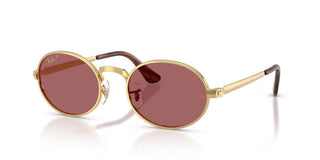 Ray-Ban RB 3931 unisex Gold Round Sunglasses