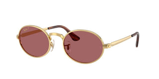 Ray-ban Rb 3931 Unisex Gold Round Sunglasses