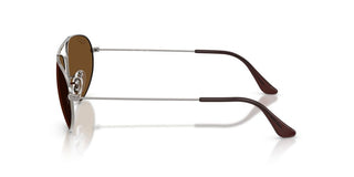 Ray-Ban RB 3945 unisex Ruthenium Oval Sunglasses