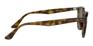 Ray-Ban RB 4259F unisex Havana Sunglasses