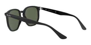 Ray-Ban RB 4306 unisex Black Geometric Sunglasses