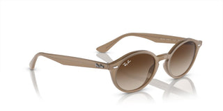 Ray-ban Rb 4315 Unisex  Oval Sunglasses