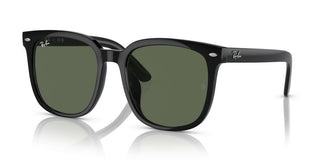 Ray-ban Rb 4401d Unisex Black Geometric Sunglasses