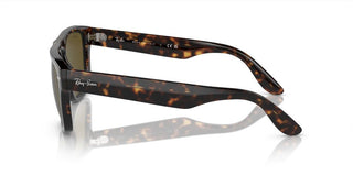 Ray-Ban RB 4407 unisex Havana Squared Sunglasses