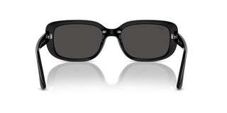 Ray-ban Rb 4421d Unisex Black Other Sunglasses