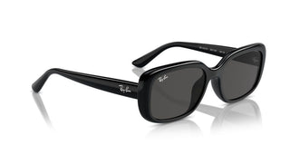 Ray-ban Rb 4421d Unisex Black Other Sunglasses