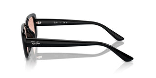 Ray-ban Rb 4421d Unisex Black Other Sunglasses