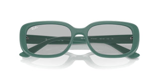 Ray-ban Rb 4421d Unisex Green Other Sunglasses
