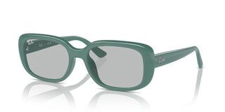 Ray-ban Rb 4421d Unisex Green Other Sunglasses