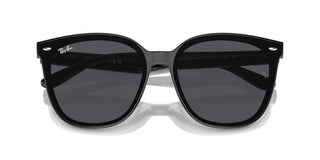 Ray-ban Rb 4423d Unisex Black Squared Sunglasses
