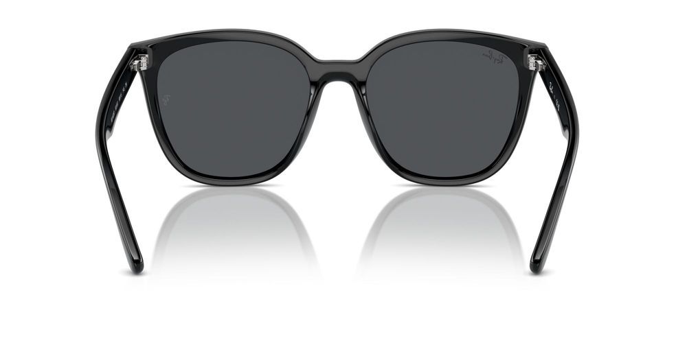 Ray-ban Rb 4423d Unisex Black Squared Sunglasses – Otticanet USA