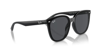 Ray-ban Rb 4423d Unisex Black Squared Sunglasses