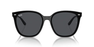 Ray-ban Rb 4423d Unisex Black Squared Sunglasses