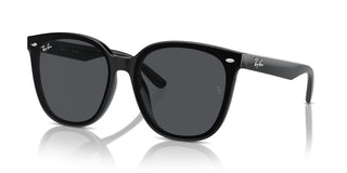Ray-ban Rb 4423d Unisex Black Squared Sunglasses