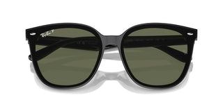 Ray-ban Rb 4423d Unisex Black Squared Sunglasses