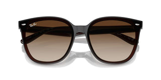 Ray-ban Rb 4423d Unisex Brown Squared Sunglasses