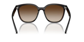 Ray-ban Rb 4423d Unisex Brown Squared Sunglasses