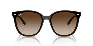 Ray-ban Rb 4423d Unisex Brown Squared Sunglasses