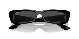 Ray-ban Rb 4425 Unisex Black Geometric Sunglasses
