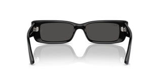 Ray-ban Rb 4425 Unisex Black Geometric Sunglasses