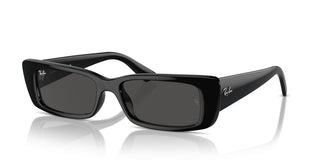 Ray-ban Rb 4425 Unisex Black Geometric Sunglasses