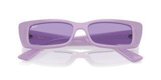 Ray-ban Rb 4425 Unisex Violet Geometric Sunglasses