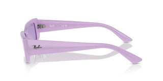 Ray-ban Rb 4425 Unisex Violet Geometric Sunglasses