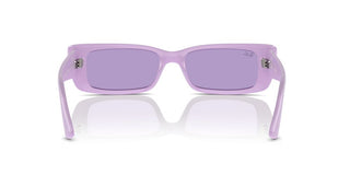 Ray-ban Rb 4425 Unisex Violet Geometric Sunglasses