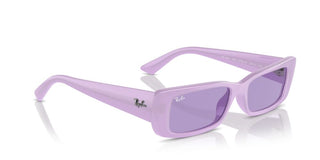 Ray-ban Rb 4425 Unisex Violet Geometric Sunglasses