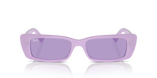Ray-ban Rb 4425 Unisex Violet Geometric Sunglasses