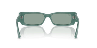Ray-ban Rb 4425 Unisex Green Geometric Sunglasses