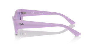 Ray-ban Rb 4427 Unisex Violet Other Sunglasses