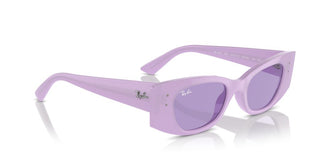 Ray-ban Rb 4427 Unisex Violet Other Sunglasses