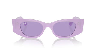 Ray-ban Rb 4427 Unisex Violet Other Sunglasses