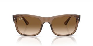 Ray-Ban RB 4428 unisex Brown Squared Sunglasses