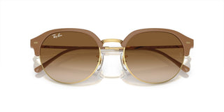Ray-Ban RB 4429 unisex Brown Geometric Sunglasses
