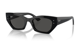 Ray-ban Rb 4430 Unisex Black Squared Sunglasses