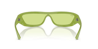 Ray-ban Rb 4431 Unisex Green Rectangle Sunglasses