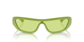 Ray-ban Rb 4431 Unisex Green Rectangle Sunglasses