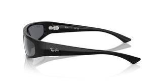 Ray-ban Rb 4432 Unisex Black Other Sunglasses