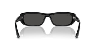 Ray-ban Rb 4436d Unisex Black Geometric Sunglasses