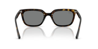 Ray-ban Rb 4439d Unisex Havana  Sunglasses