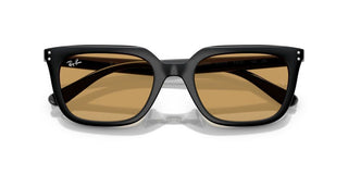 Ray-ban Rb 4439d Unisex Black  Sunglasses