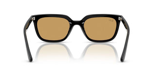 Ray-ban Rb 4439d Unisex Black  Sunglasses