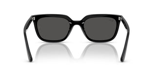 Ray-ban Rb 4439d Unisex Black Squared Sunglasses