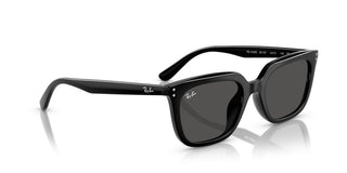 Ray-ban Rb 4439d Unisex Black Squared Sunglasses