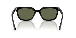 Ray-ban Rb 4439d Unisex Black Squared Sunglasses