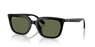 Ray-ban Rb 4439d Unisex Black Squared Sunglasses